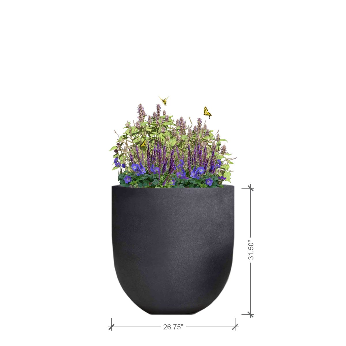 Small Round Charcoal Planter with Purple Lover Plant Palette, BLOOMTIME