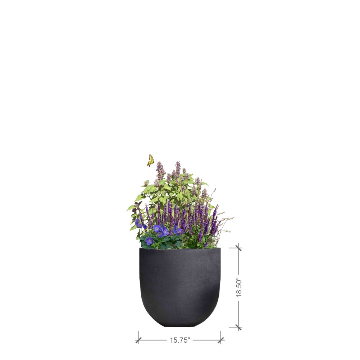 Small Round Charcoal Planter with Purple Lover Plant Palette, BLOOMTIME