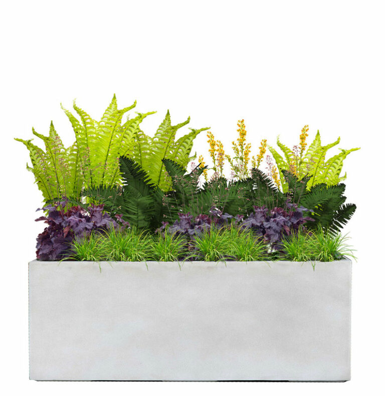 Fern Glade (Part Shade)This Plant Palette makes you feel like you’re in a small forest clearing, where dappled light makes its way to the forest floor. Two types of ferns are enhanced by colorful foliage and a late-blooming burst of yellow.