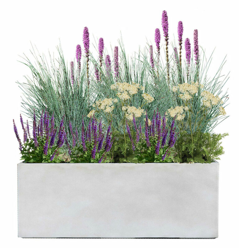Meadow (Full Sun)Modeled after an iconic meadow, this combination of plants will make you feel like you’re in the countryside. This is our longest blooming Plant Palette and, like a meadow, it attracts butterflies!