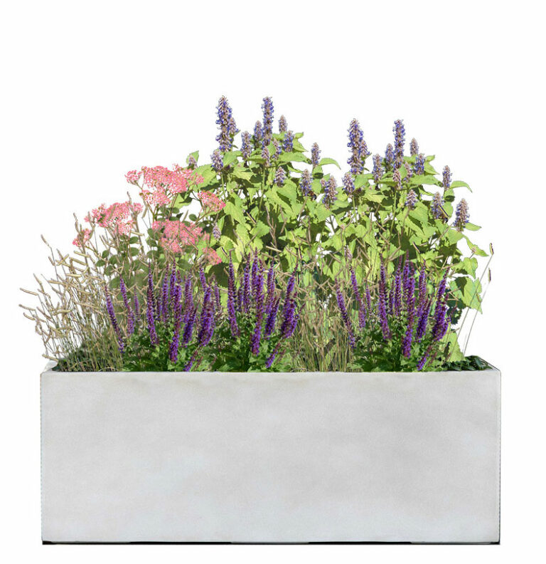 Stress Lovers (Full Sun)This drought-tolerant Plant Palette is perfect for the toughest places: dry locations in full sun. It may fare well in difficult locations, such as windy balconies.