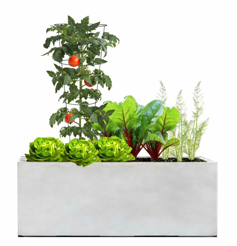 Veggie Patch (Full Sun)Hello home-grown veggies, goodbye elbowing your way through the organic produce aisle! This Plant Palette helps you grow delicious edibles from the comfort of your home. Plants will last one season.